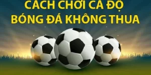 chơi cá độ bóng đá không thua